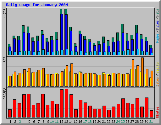 Daily usage for January 2004