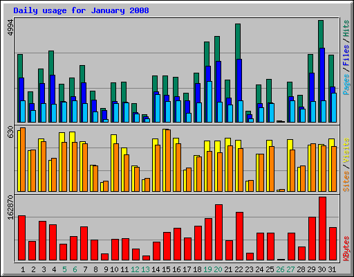 Daily usage for January 2008