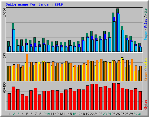 Daily usage for January 2010