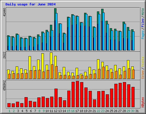 Daily usage for June 2024