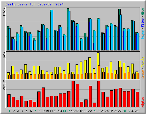 Daily usage for December 2024