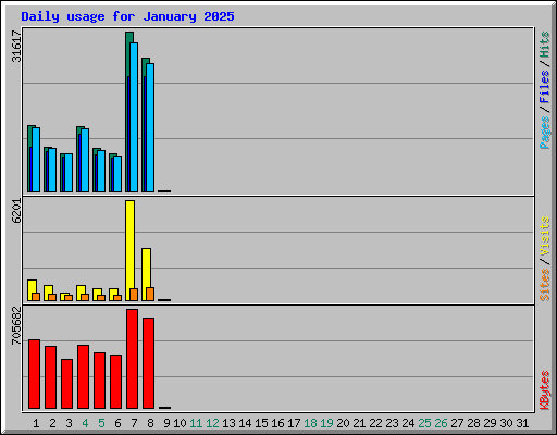 Daily usage for January 2025