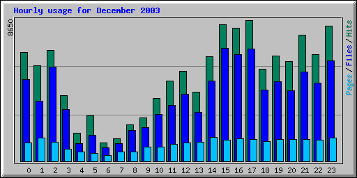 Hourly usage for December 2003