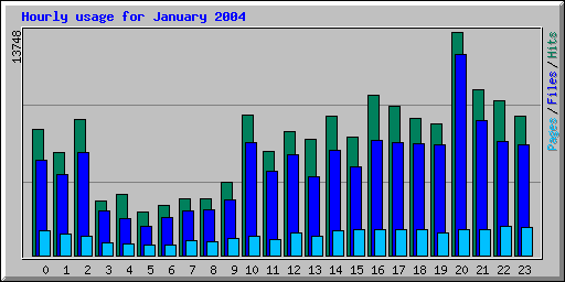 Hourly usage for January 2004