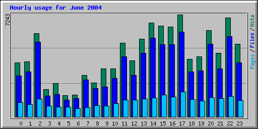 Hourly usage for June 2004