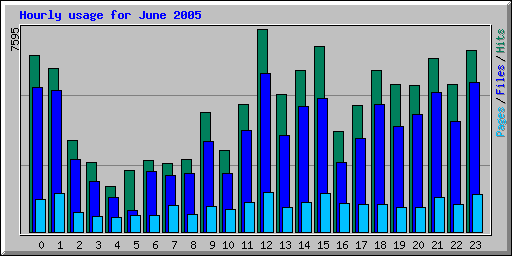 Hourly usage for June 2005