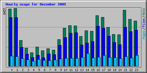 Hourly usage for December 2005