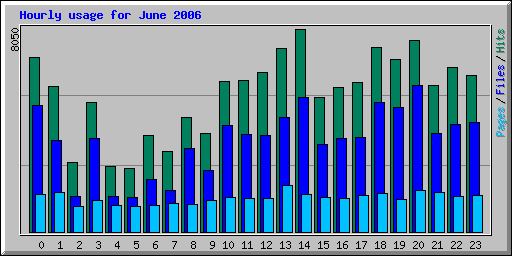 Hourly usage for June 2006