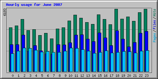 Hourly usage for June 2007