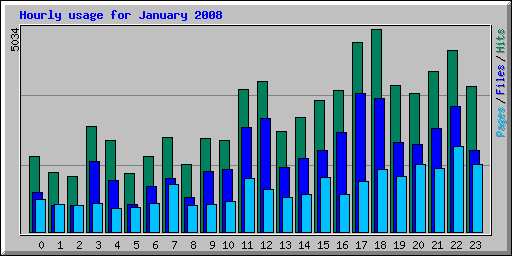 Hourly usage for January 2008