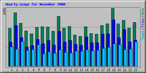 Hourly usage for November 2008