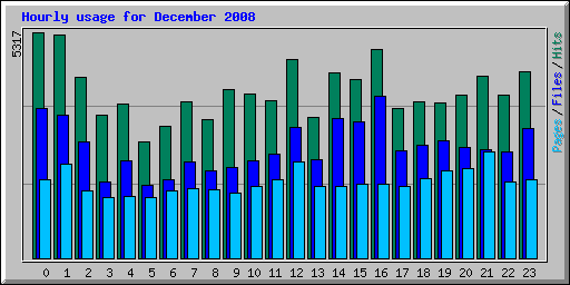 Hourly usage for December 2008