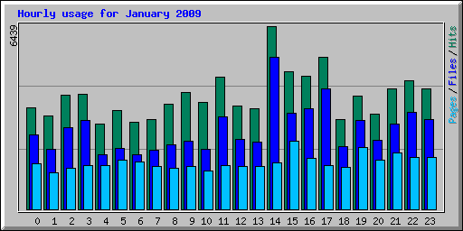 Hourly usage for January 2009