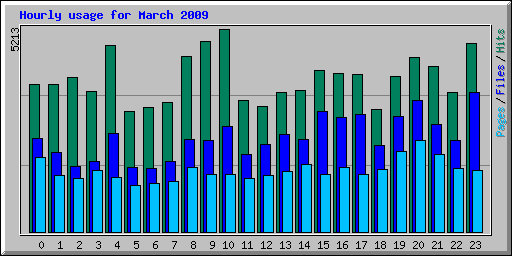 Hourly usage for March 2009