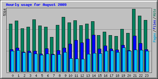 Hourly usage for August 2009