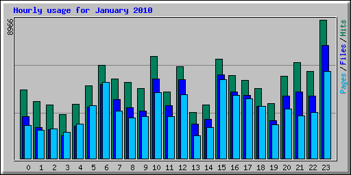 Hourly usage for January 2010