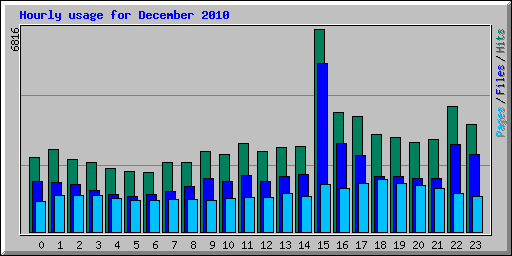 Hourly usage for December 2010