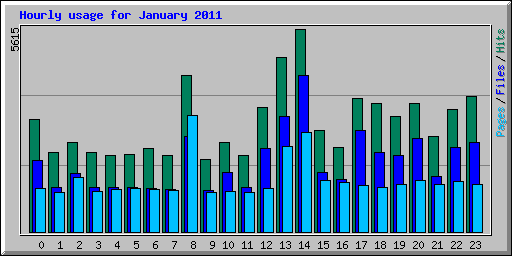 Hourly usage for January 2011