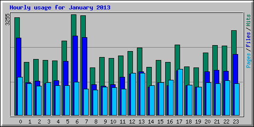 Hourly usage for January 2013