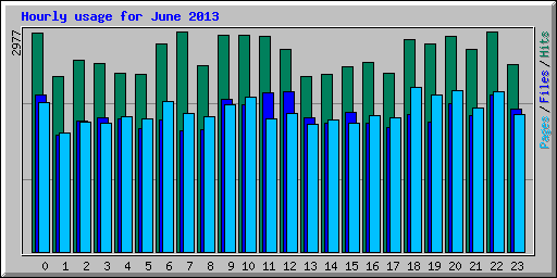 Hourly usage for June 2013