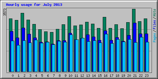 Hourly usage for July 2013