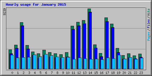 Hourly usage for January 2015