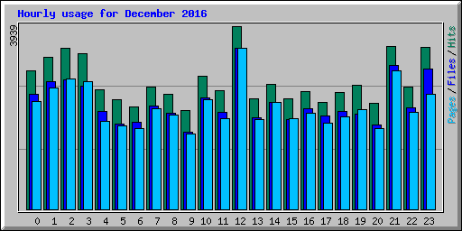 Hourly usage for December 2016