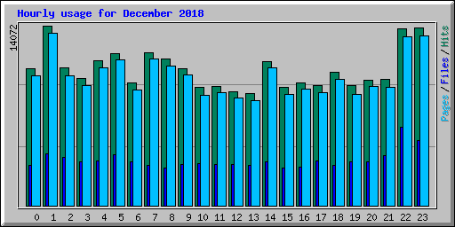 Hourly usage for December 2018