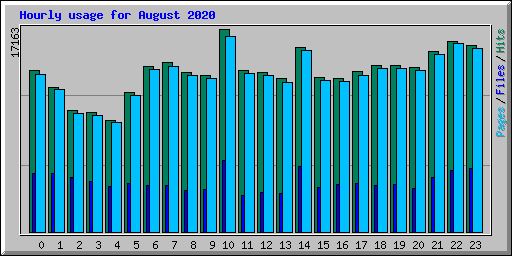 Hourly usage for August 2020