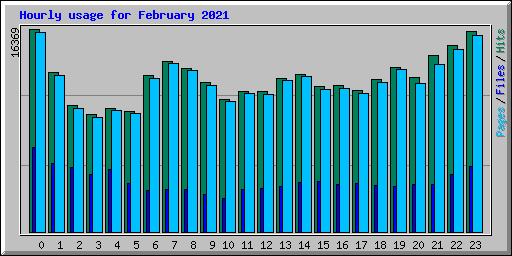 Hourly usage for February 2021