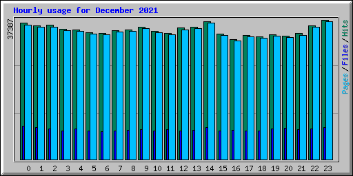 Hourly usage for December 2021