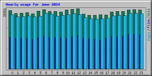 Hourly usage for June 2024