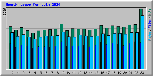 Hourly usage for July 2024