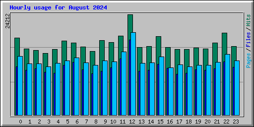 Hourly usage for August 2024