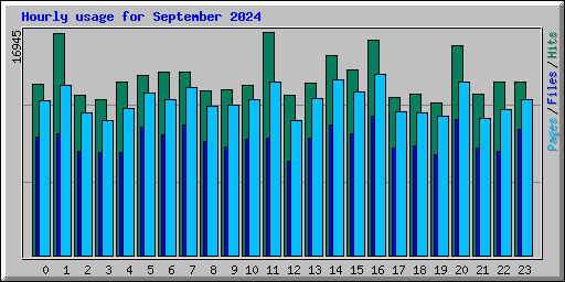 Hourly usage for September 2024