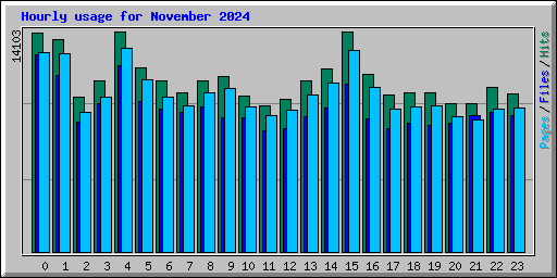 Hourly usage for November 2024