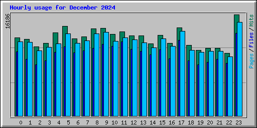 Hourly usage for December 2024