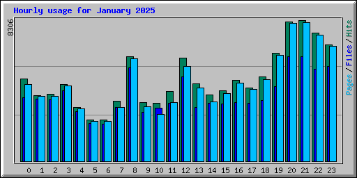 Hourly usage for January 2025