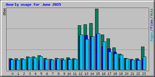 Hourly usage for June 2025