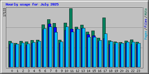 Hourly usage for July 2025