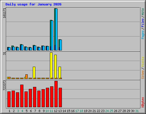 Daily usage for January 2026