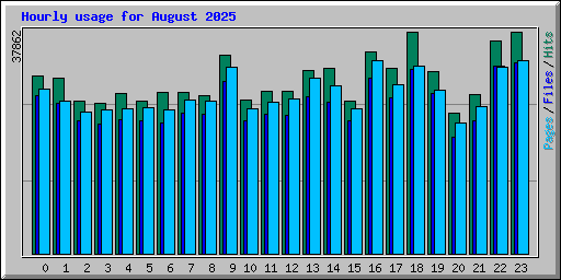 Hourly usage for August 2025