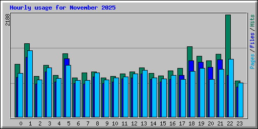 Hourly usage for November 2025