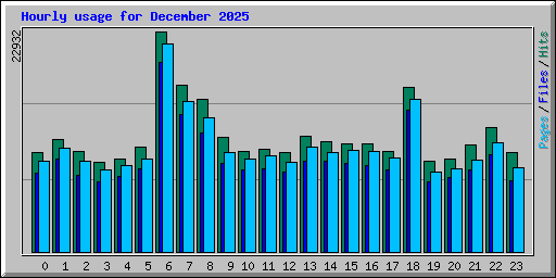 Hourly usage for December 2025