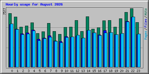 Hourly usage for August 2026
